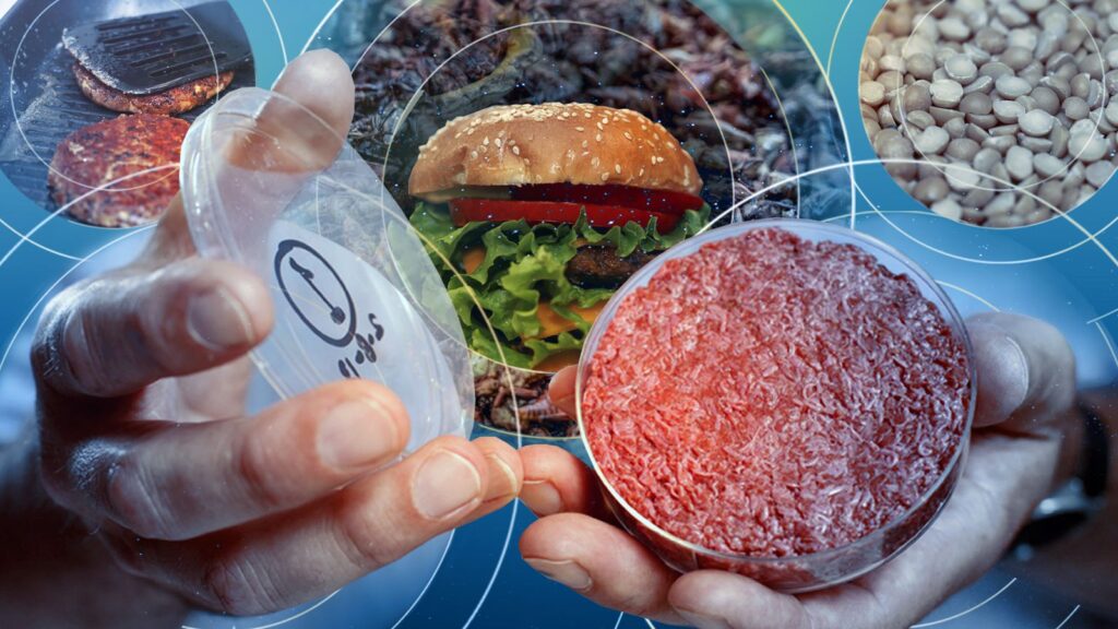 image of plant based burger in a petri dish, with cooked burger and ingredients