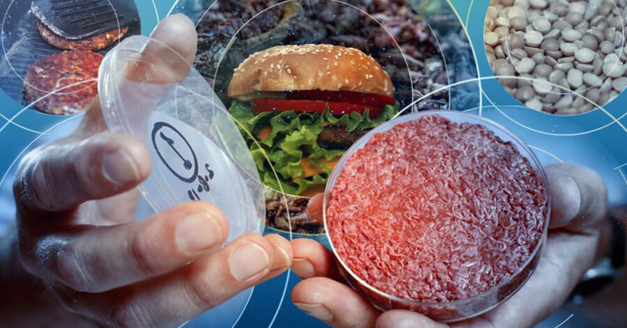 National Alternative Protein Innovation Centre NAPIC blog