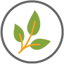 National Alternative Protein Innovation Centre NAPIC Valorisation of Natural Kingdom