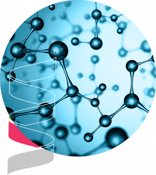 National Alternative Protein Innovation Centre NAPIC